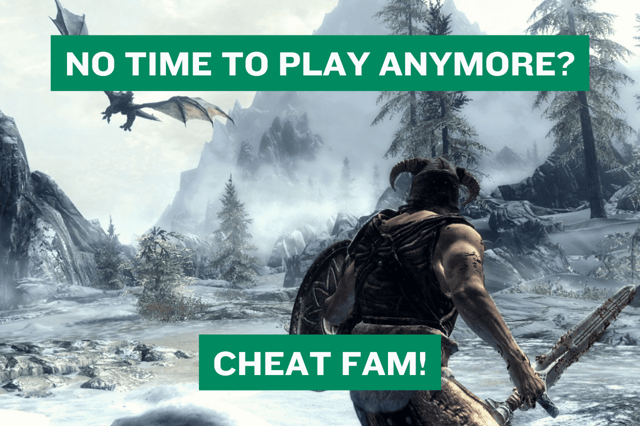 Skyrim gameplay with text "No Time to Play Anymore? Cheat!"